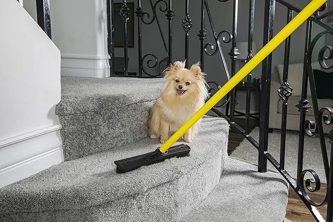 Original Pet Hair Rubber Broom with Squeegee, with 58" Telescopic Handle for Carpet, Tile and Hardwood